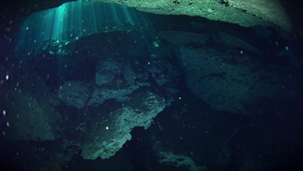 This Hidden Airbnb in Mexico Has Its Own Private Cenote