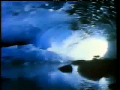 Caninos Brancos Trailer Dublado em Espanhol