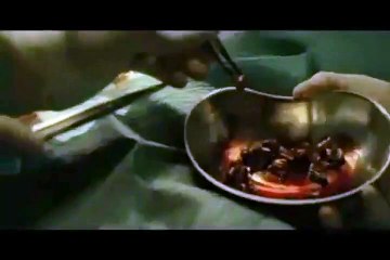 22 balas (El inmortal) Tráiler VO