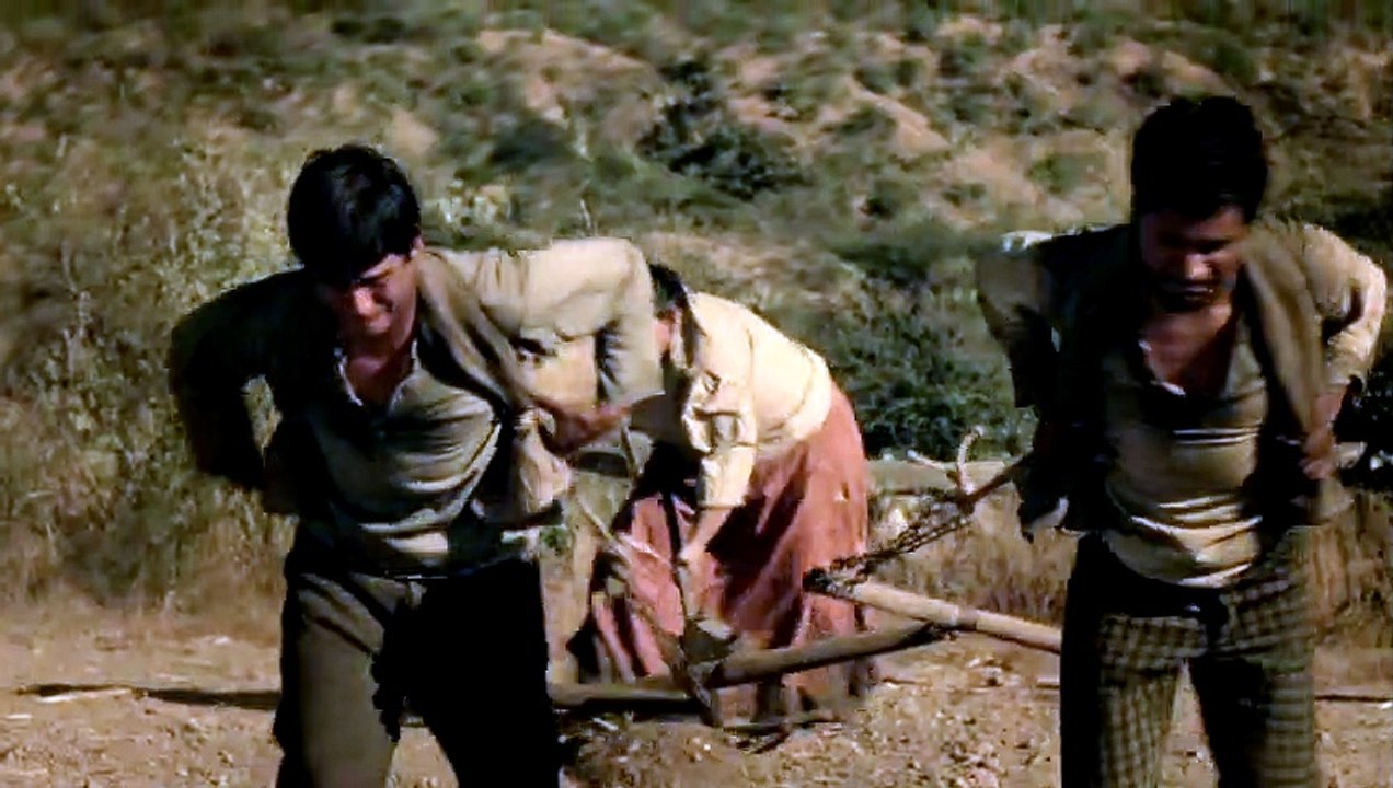 La Cebra Tráiler