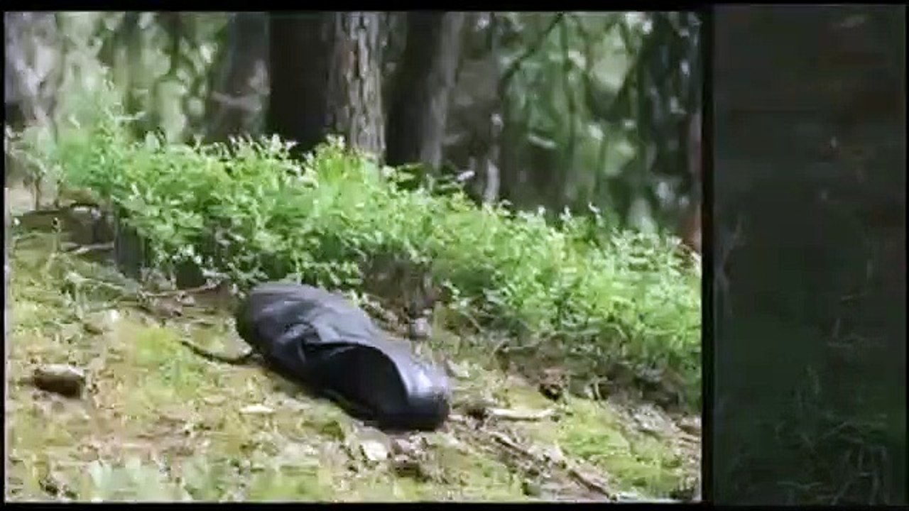 Dreileben: Não me Siga Teaser Original