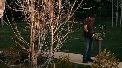 The Purge. La noche de las bestias Tráiler