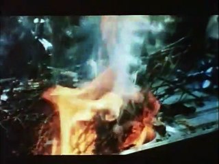 Under the skin (A flor de piel) Tráiler VO