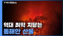 역대 최악 치닫는 '동해안 산불'...곧 소방헬기 집중 투입 / YTN
