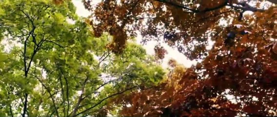 Azul é a Cor Mais Quente Clipe Original - Cena do beijo