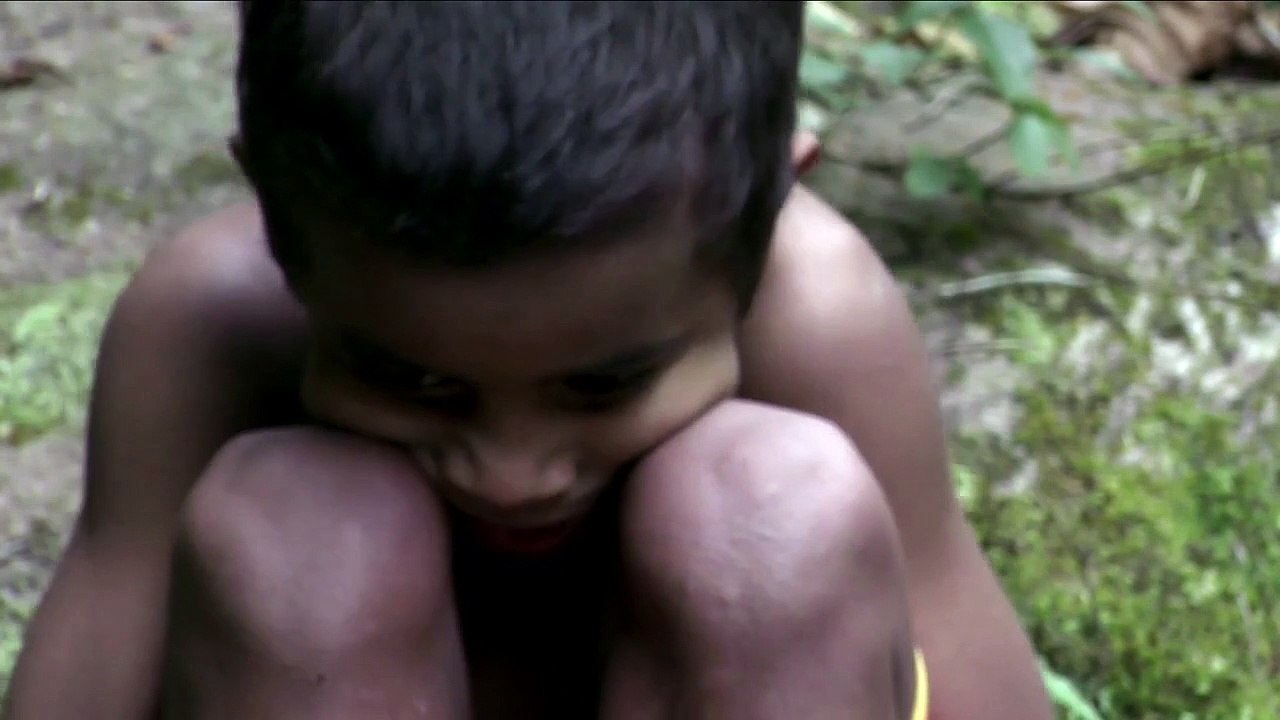 Sopro Trailer