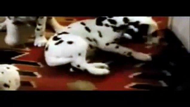 101 Dálmatas (¡Más vivos que nunca!) Tráiler (2) VO
