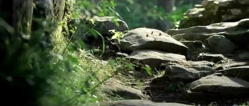 Minúsculos: El valle de las hormigas perdidas Tráiler (2) VO