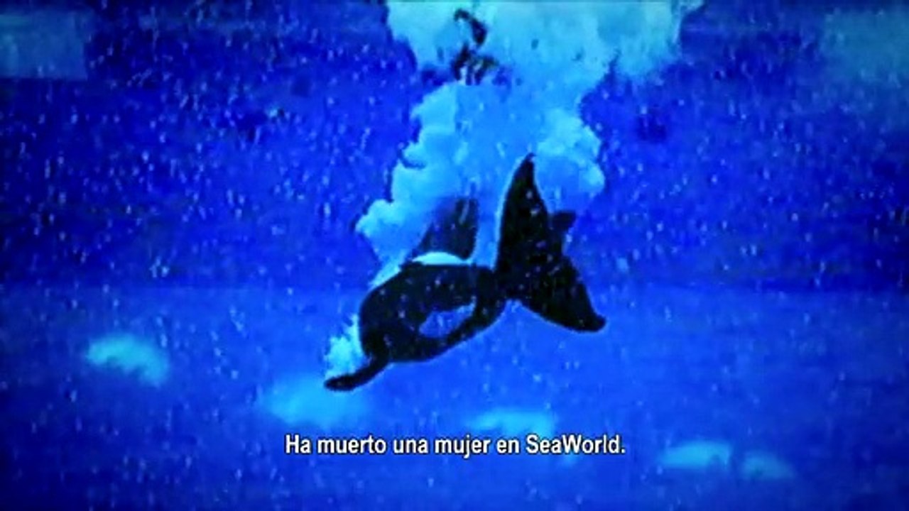 Blackfish Tráiler VO