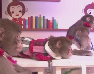China school sees monkey business in New Year