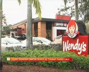 Lelaki didakwa campak buaya ke tingkap pandu lalu