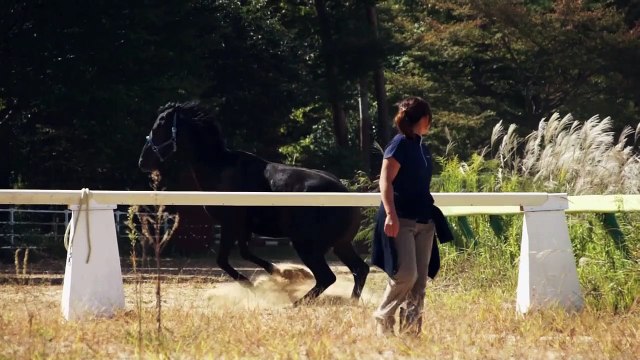 Os Cavalos de Fukushima Teaser Original