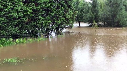 Wingecarribee River | March 2022 | Video by Phillip Minnis