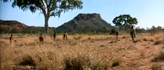 Un vaquero sin rumbo Tráiler VO