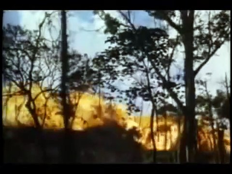 La colina de la hamburguesa Tráiler VO