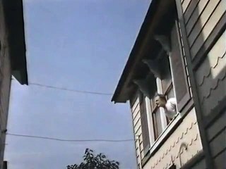 Cariño, he encogido a los niños Tráiler