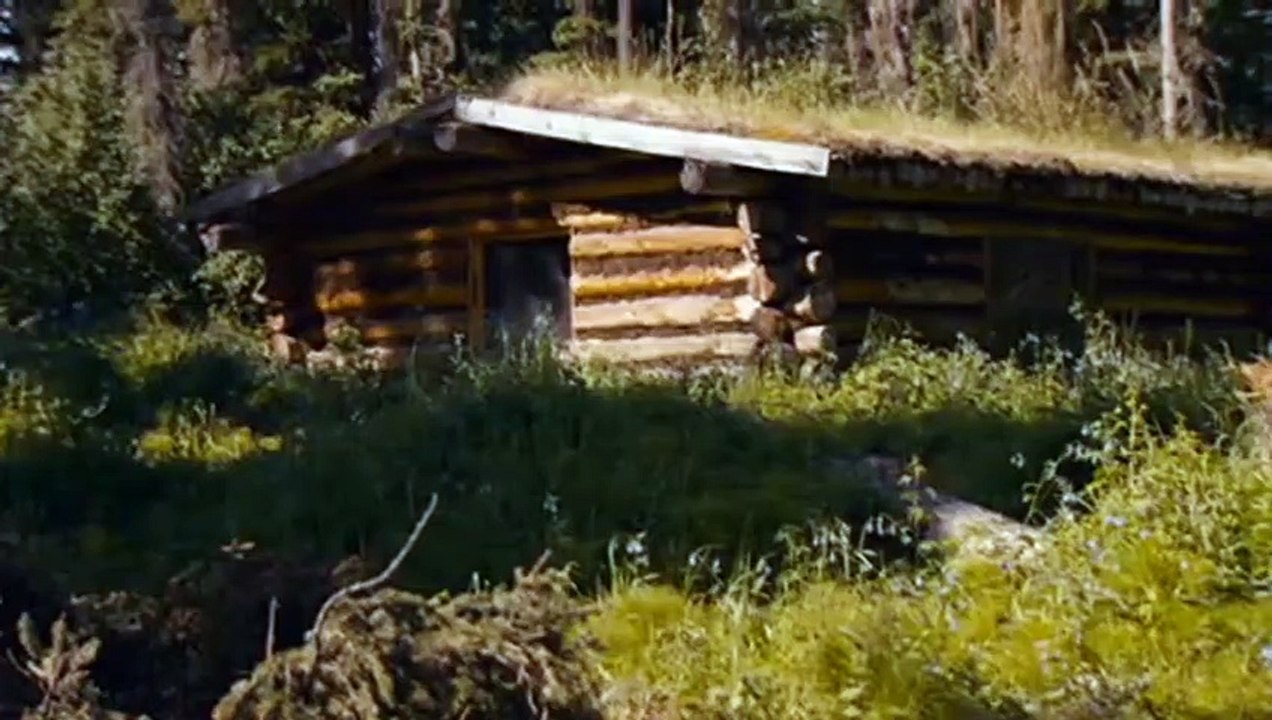 Todo Mundo em Pânico 5 Trailer Dublado