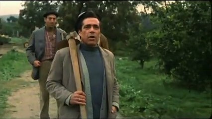 El Lute (camina o revienta) Tráiler