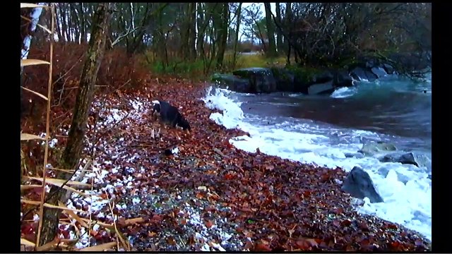 Adeus à Linguagem Trailer Original