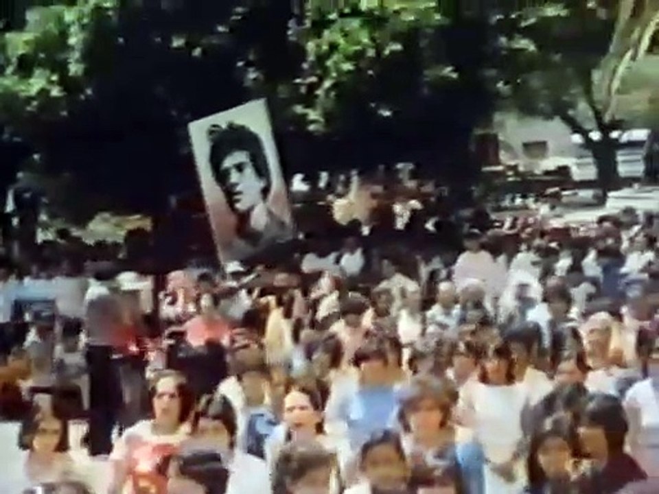 Bajo el fuego Tráiler VO