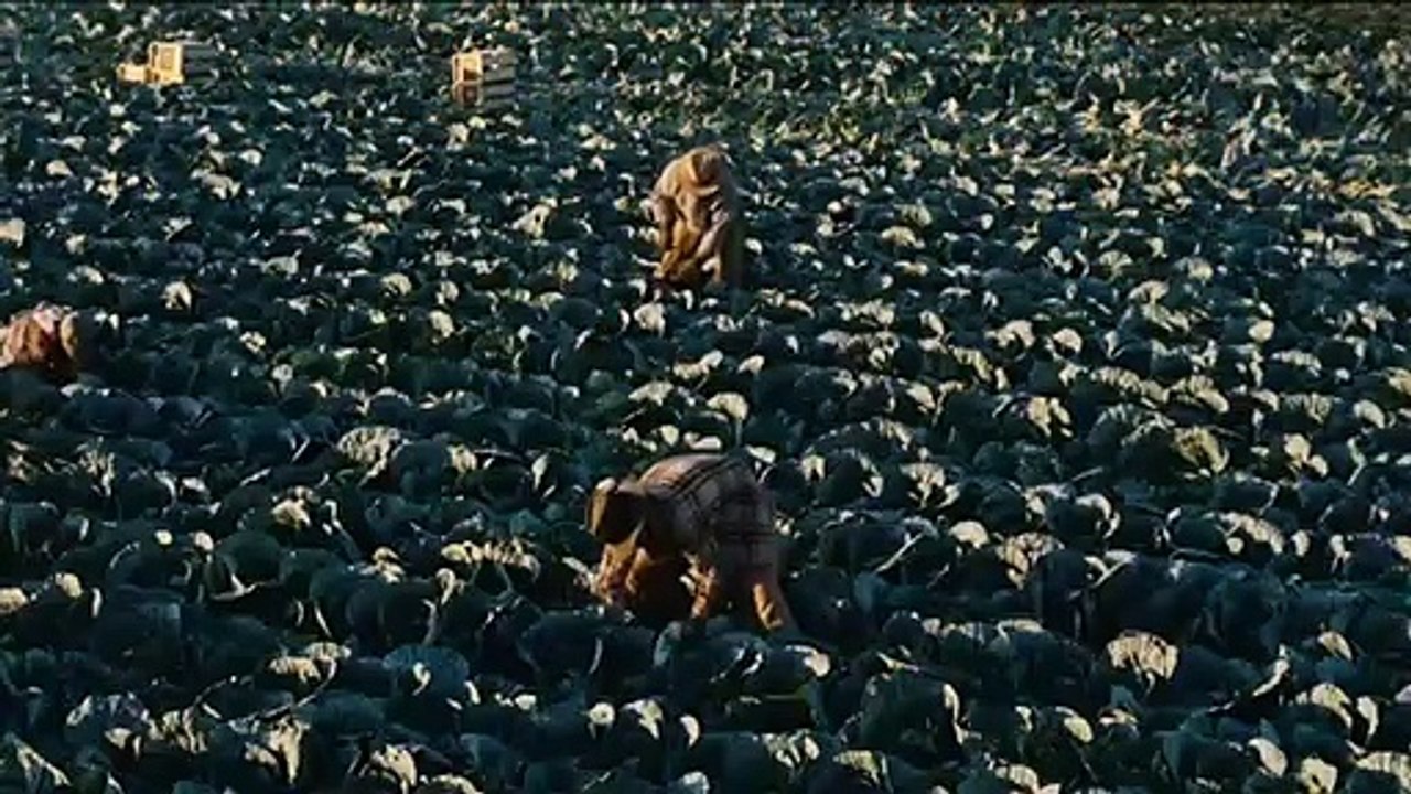 O Mestre Trailer (7) Original