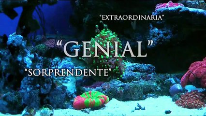 Gente en sitios Tráiler