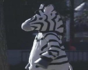 Tokyo's Ueno zoo stages fake zebra escape