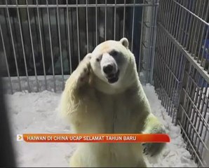 Haiwan di China ucap selamat Tahun Baru Cina