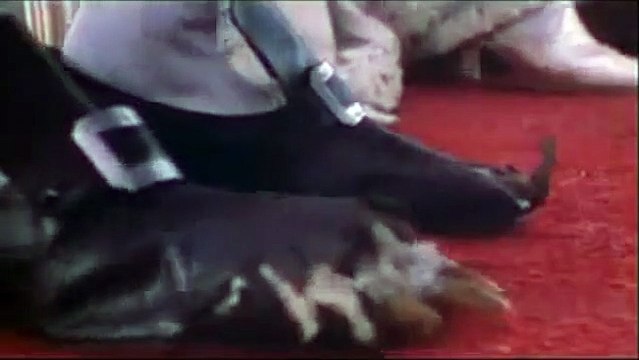 En compañía de lobos Tráiler VO