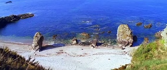 O Brilho da Vida Trailer Original