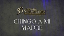 Banda Los Sebastianes De Saúl Plata - Chingo A Mi Madre