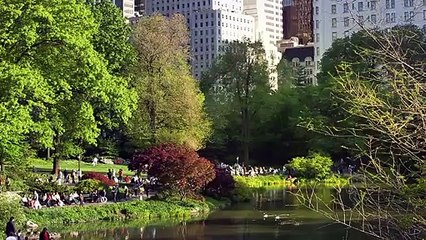 Esparcid mis cenizas en Bergdorf Tráiler VO