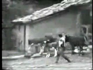 Bicho do Mato Chamada Original