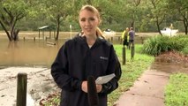 Evacuation order issued for suburbs in south-west Sydney amid floods