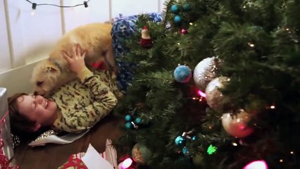 Um Natal Bom pra Cachorro Trailer Original