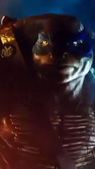 As Tartarugas Ninja Cartaz animado - Leonardo