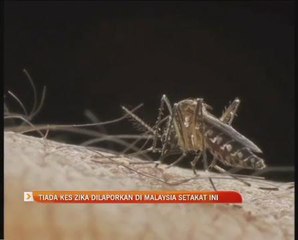 Tiada kes Zika dilaporkan di Malaysia setakat ini
