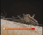 Tiada kes Zika dilaporkan di Malaysia setakat ini