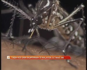 Tiada kes Zika dilaporkan di Malaysia setakat ini - Dr Hilmi