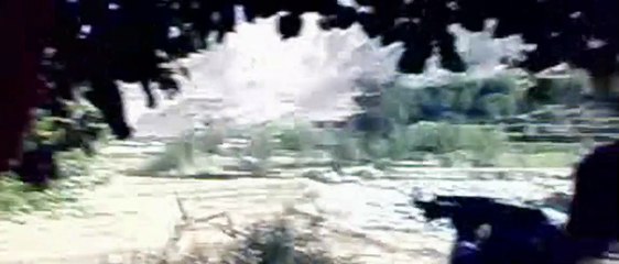 The Hornet&#039;s Nest Tráiler VO
