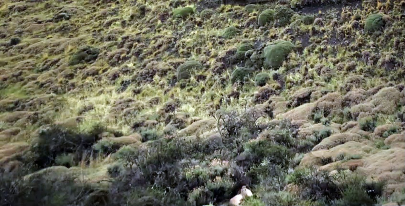 Night on Earth S01 E02