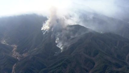 [뉴스라이브] '동해안 산불' 닷새째...오늘 오전이 산불 진화 분수령? / YTN