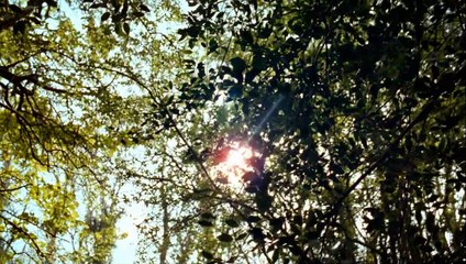 La señorita Julia Tráiler