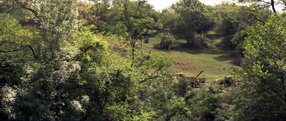 Entre os Vivos Trailer Original