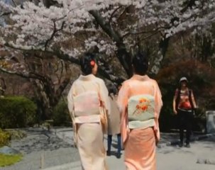 Video captures 'beauty of Japan' through a tourist's eyes