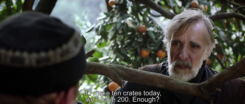 Mandarinas Tráiler (2) VO