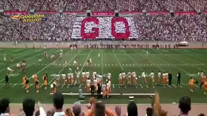 QUÉDATE AHORA TELEVISION INTERNACIONAL