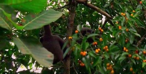 Night on Earth S01 E03