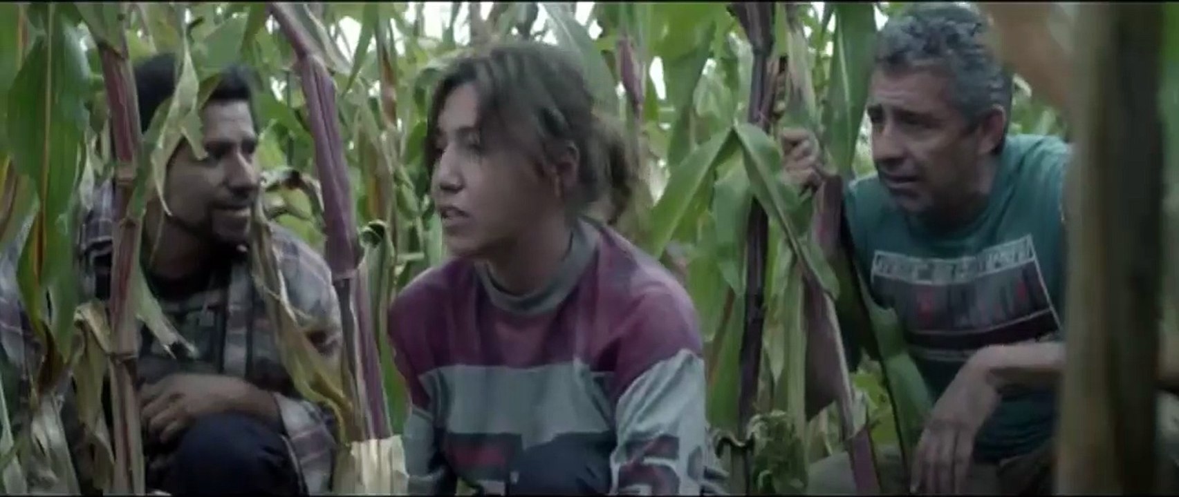 Os Fenômenos Trailer Original