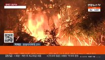 [뉴스포커스] 동해안 산불 닷새째…강릉 주불 진화 목표